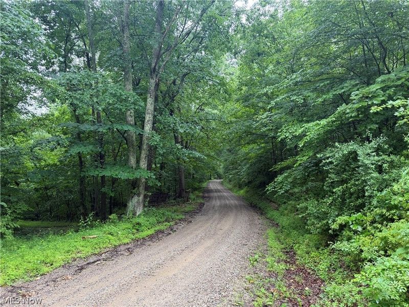 19440 Township Rd 67 Road, Warsaw, OH 43844 Photo 6