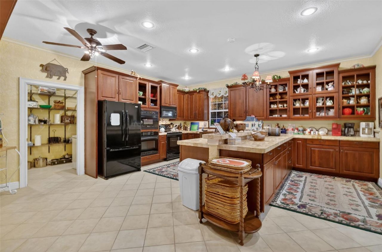 17269 SE 260th Avenue Road, Umatilla, FL 32784 Photo