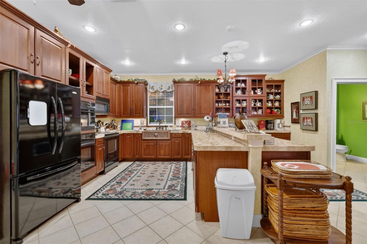 17269 SE 260th Avenue Road, Umatilla, FL 32784 Photo