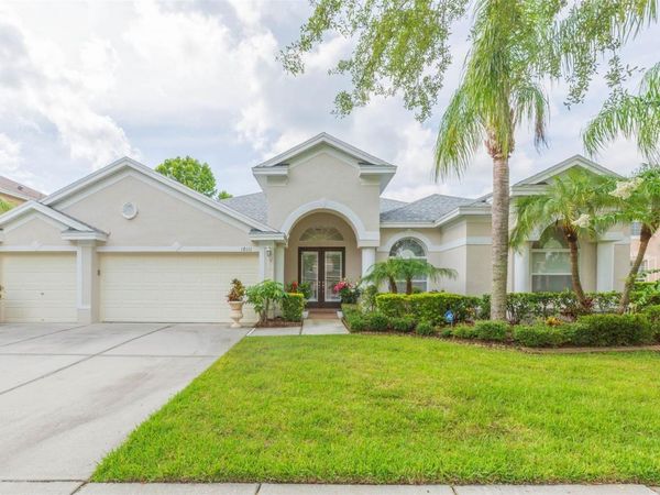 18111 DIAMOND COVE COURT , TAMPA, FL 33647