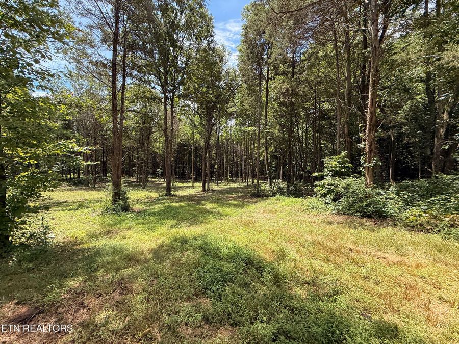 Property Image 51