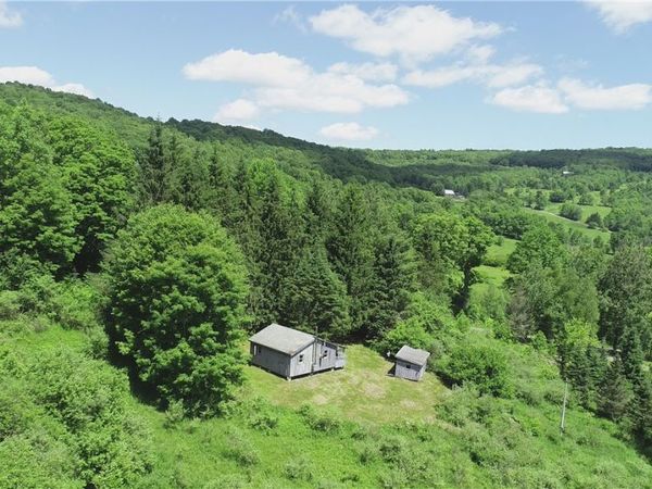 2636 Murphy Hill Road, Andes, NY 13731