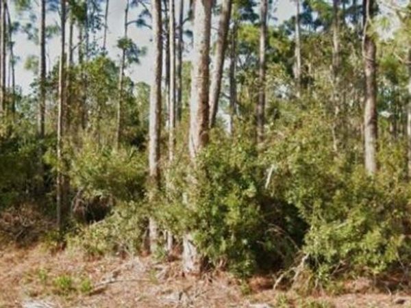 26442 Scham Rd , Punta Gorda, FL 33955