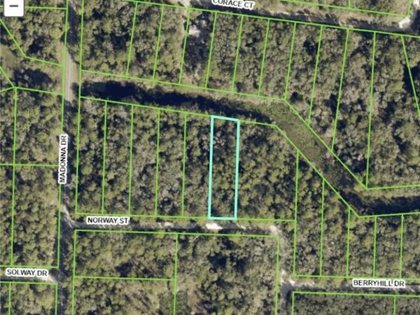7200 Norway ST , WEBSTER, FL 33597