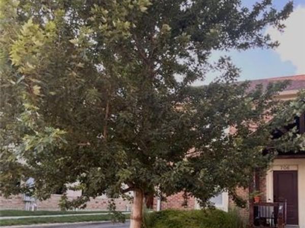 706 W 46th Street, Unit 706, Kansas City, MO 64112