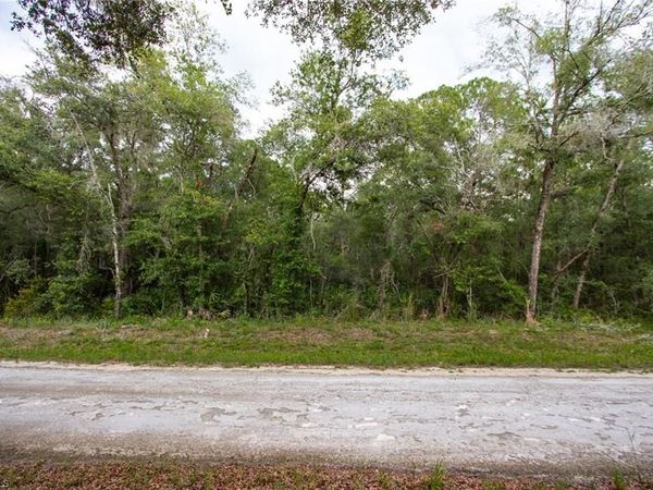 7398 Southeast AVE , WEBSTER, FL 33597