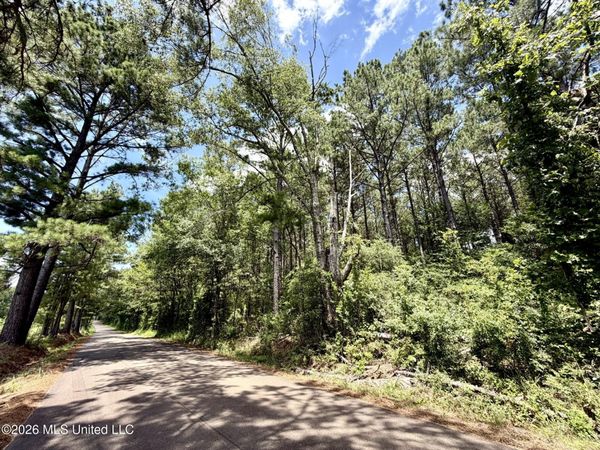 Xxx W Lincoln Drive, Smithdale, MS 39664