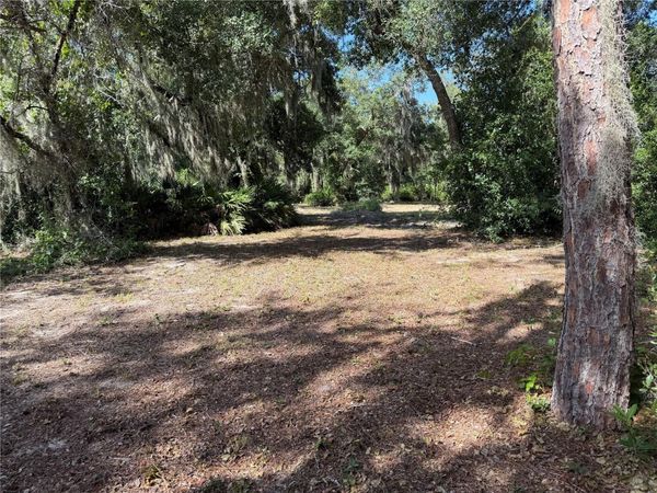 3113 BRIGHT LAKE CIRCLE, GROVELAND, FL 34736