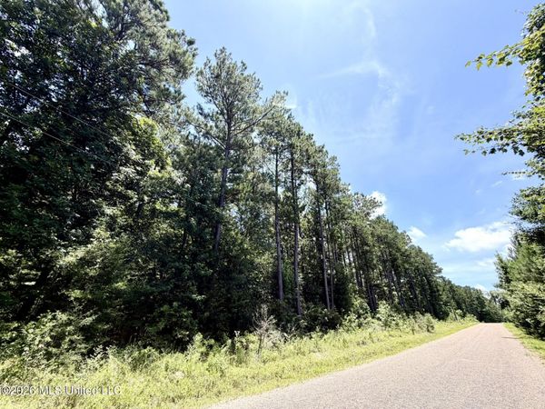 2497 SW Linfrank Line Drive, Smithdale, MS 39664