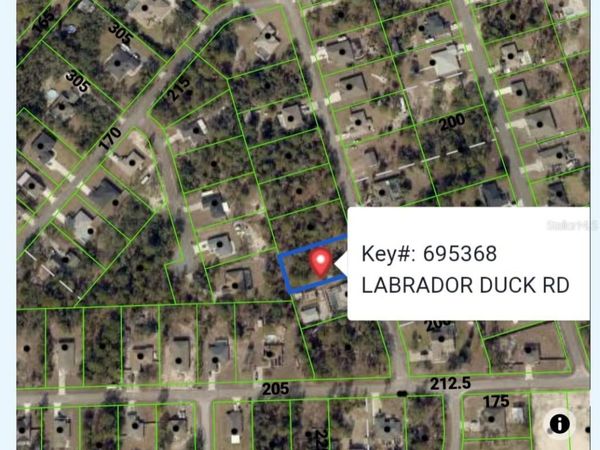 11335 LABRADOR DUCK RD, WEEKI WACHEE, FL 34614
