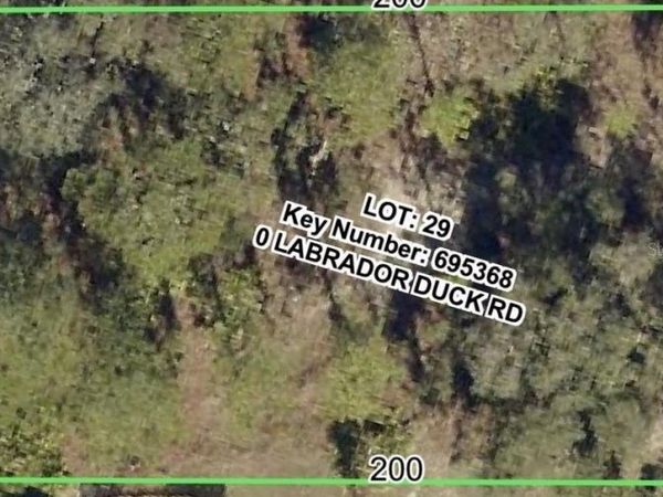 LABRADOR DUCK RD, WEEKI WACHEE, FL 34614