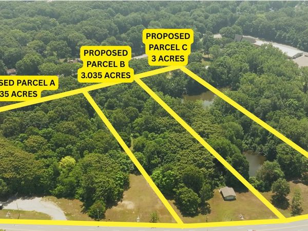 5363 Red Arrow Highway, Parcel C, Stevensville, MI 49127