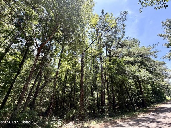 SW Linfrank Line Drive, Smithdale, MS 39664