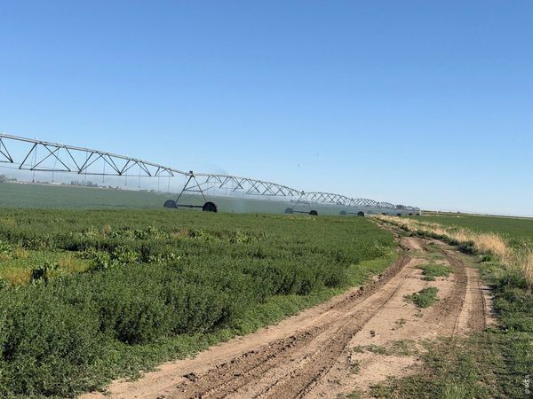 County Road 70, Eaton, CO 80615
