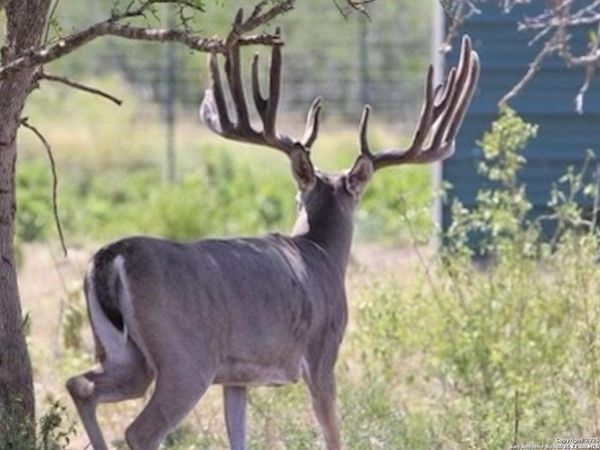 988 S D 71600, Rocksprings, TX 78880