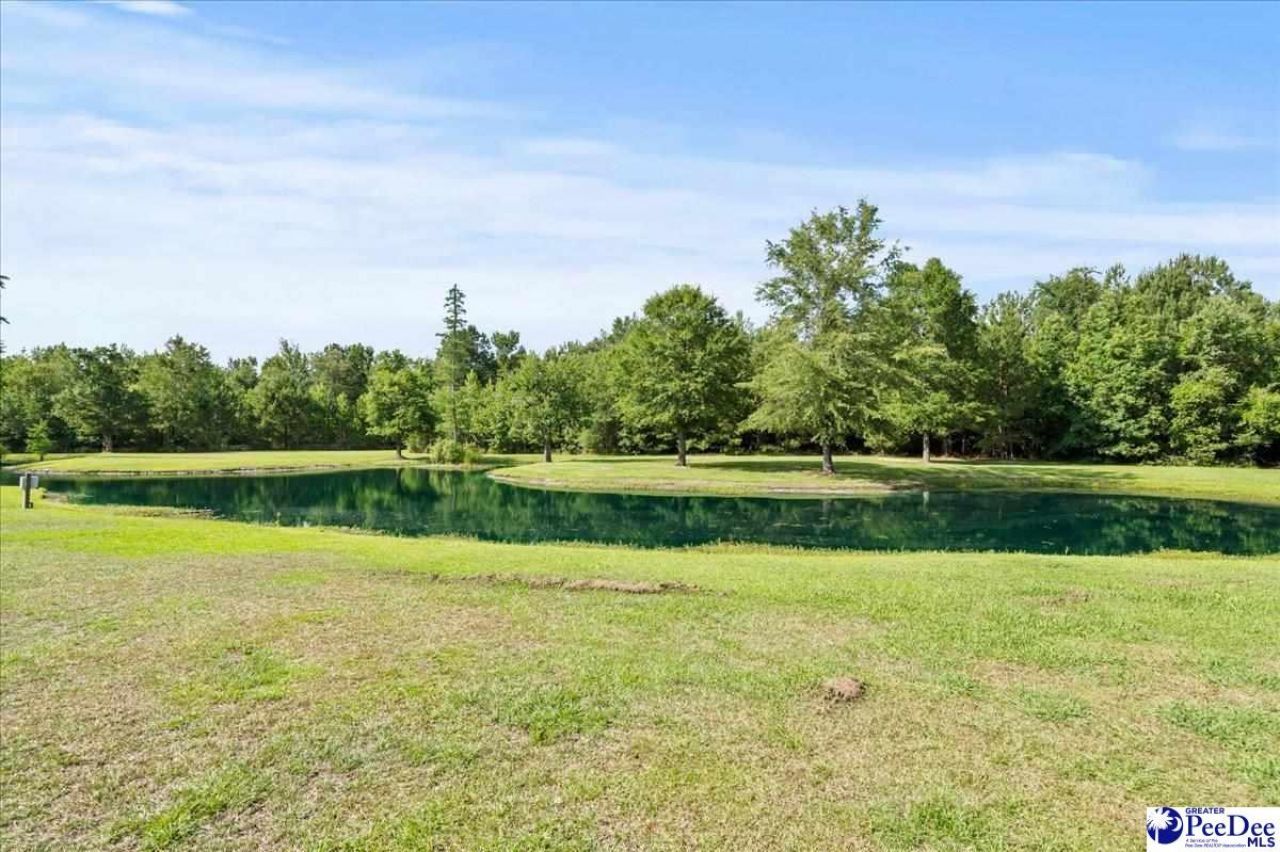 6390 Langston Road Photo 57