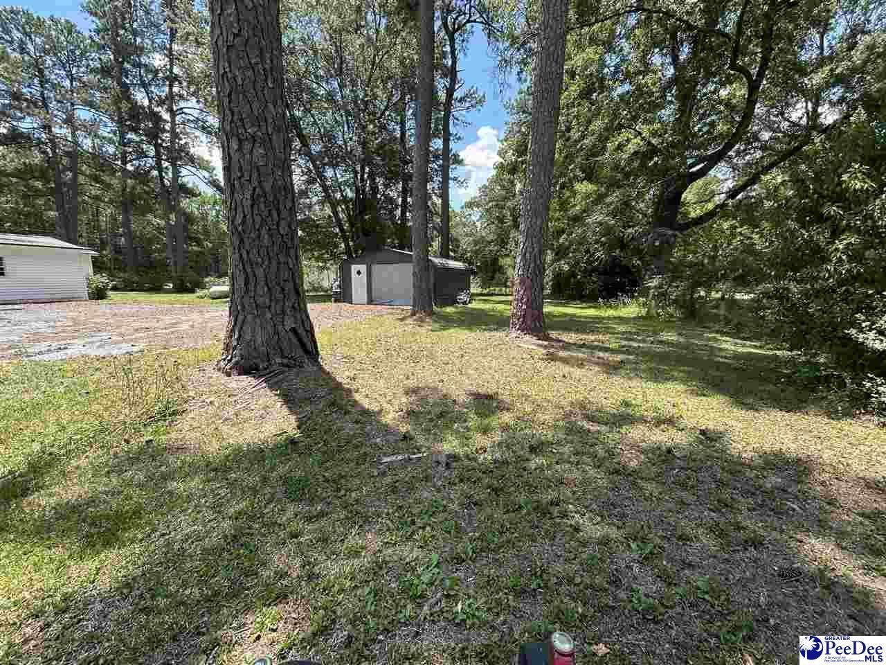 1341 Allison Landing Rd Photo 7