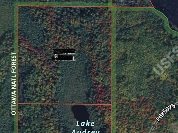 TBD Off Rifle Range Road, Watersmeet Twp, MI 49969