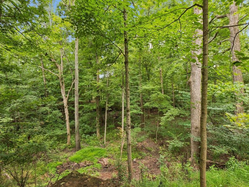 285 Partridge Bend, Powell, OH 43065 Photo 125