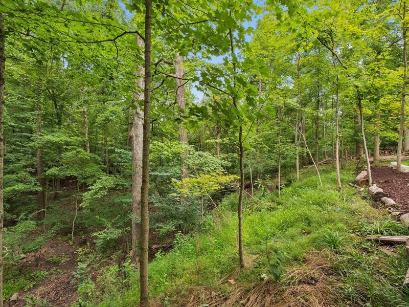 285 Partridge Bend, Powell, OH 43065 Photo 126
