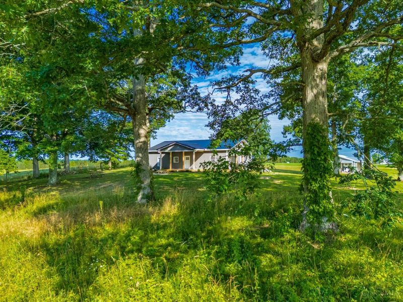 2971 Cedar Mills Road, Blue Creek, OH 45616 Photo 5