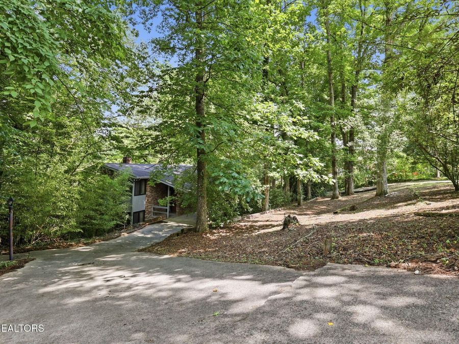 Property Image 52