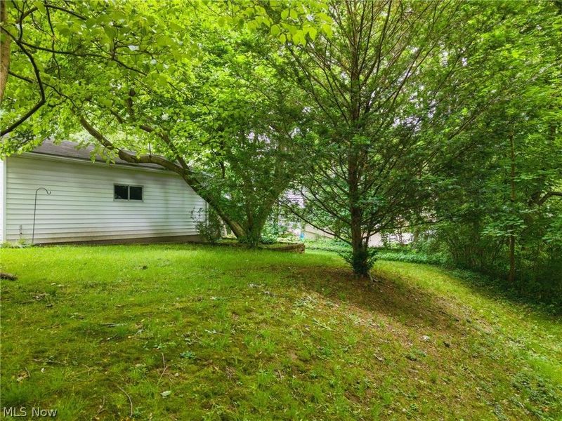 1151 Juniper Avenue, Akron, OH 44310 Photo 25