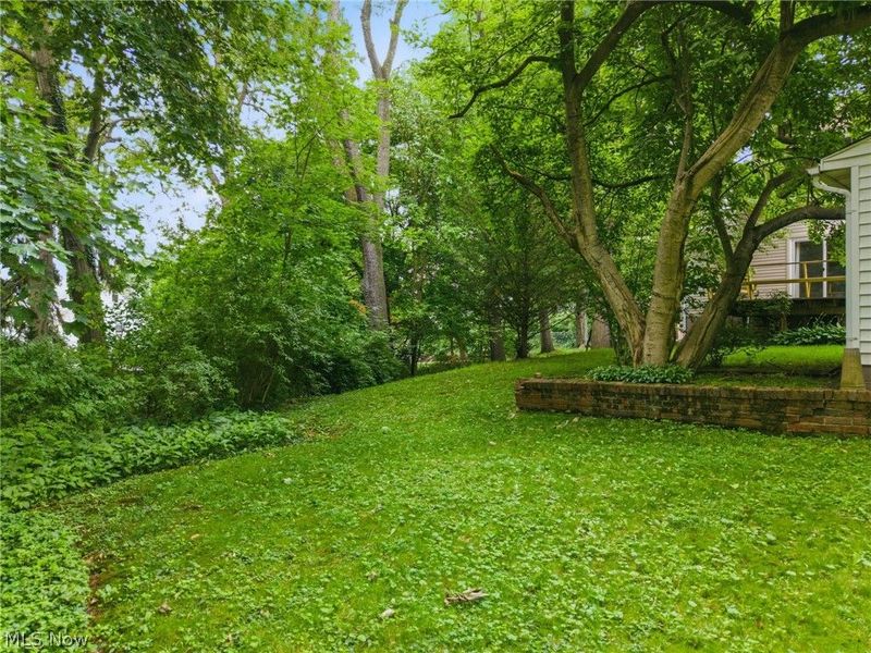 1151 Juniper Avenue, Akron, OH 44310 Photo 26