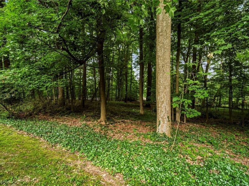 11565 Wilbert Road, Chardon, OH 44024 Photo 36