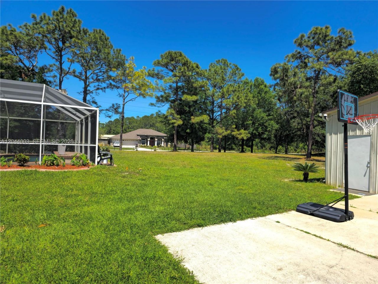 27015 Golden Meadow Drive, Wesley Chapel, FL 33544 Photo