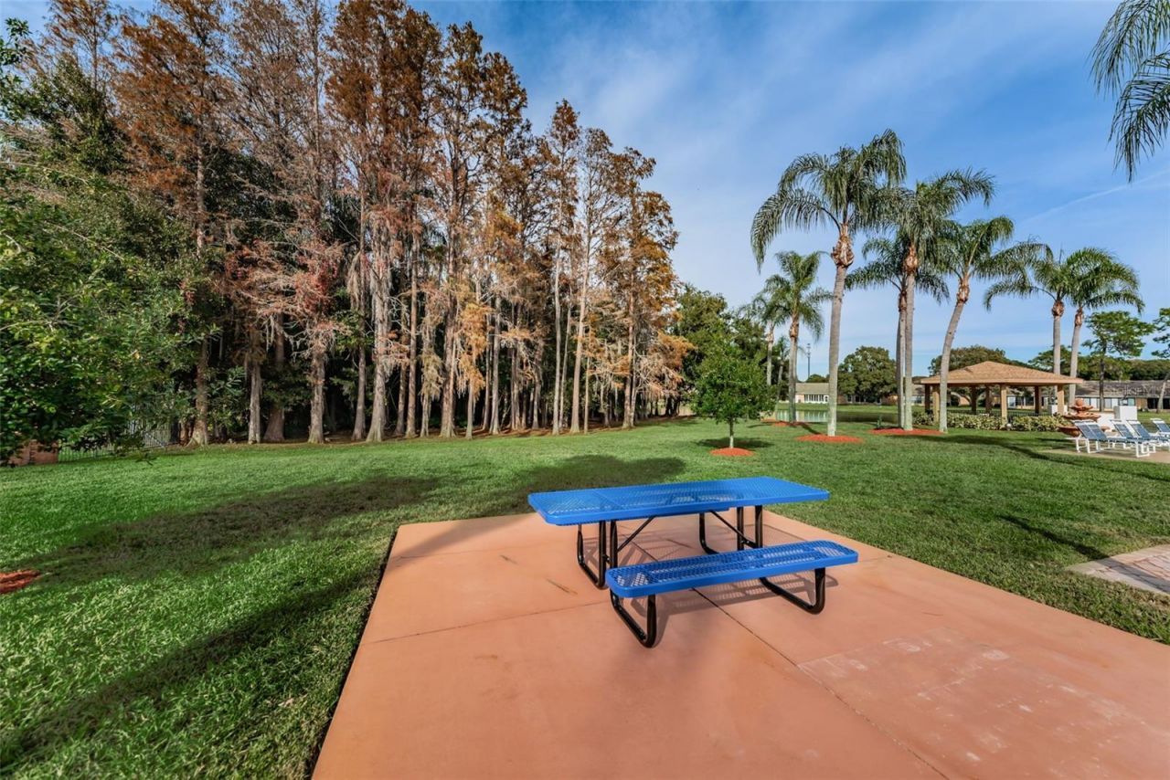 4876 Boonesboro Court , New Port Richey, FL 34655 Photo