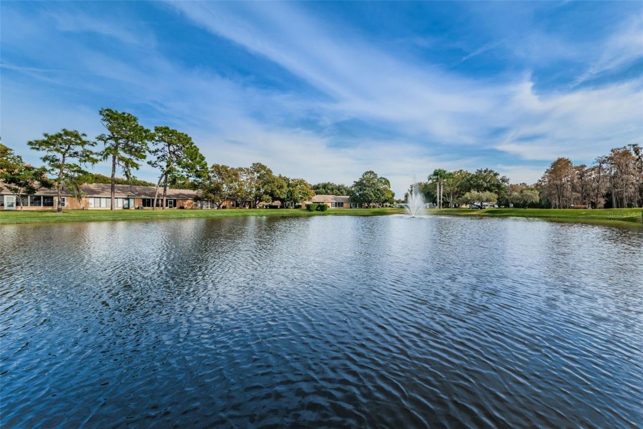 4876 Boonesboro Court , New Port Richey, FL 34655 Photo