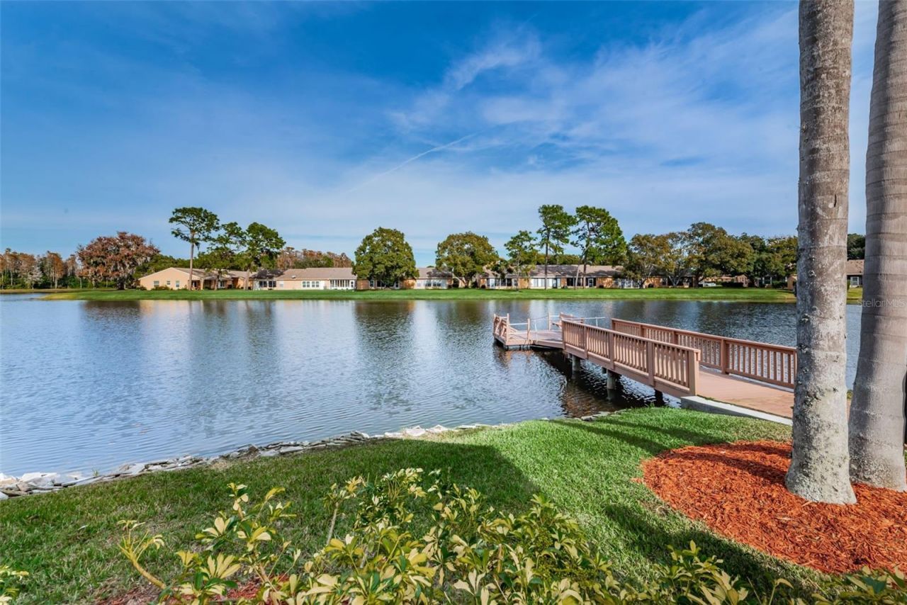 4876 Boonesboro Court , New Port Richey, FL 34655 Photo