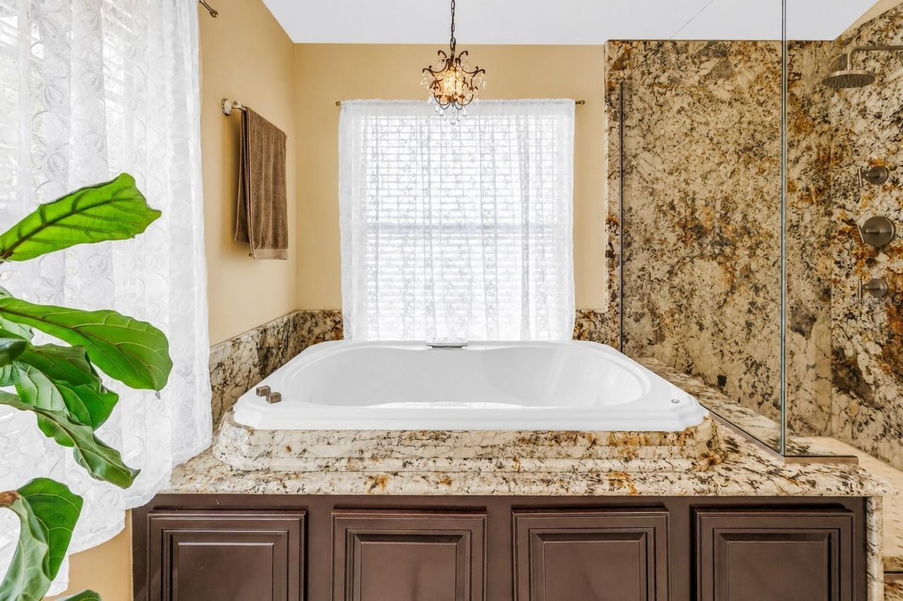 10127 Vista Pointe Drive , Tampa, FL 33635 Photo