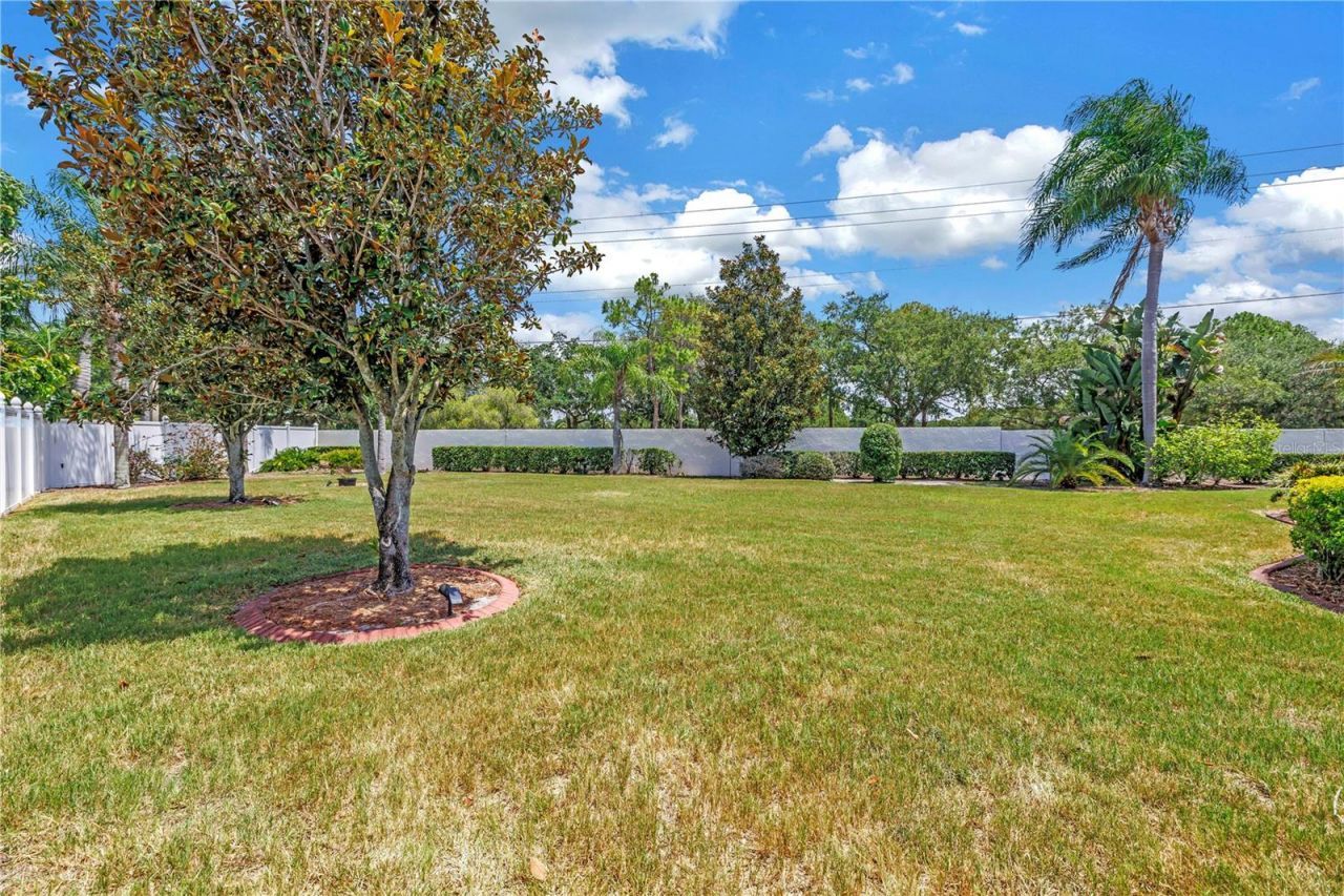 10127 Vista Pointe Drive , Tampa, FL 33635 Photo