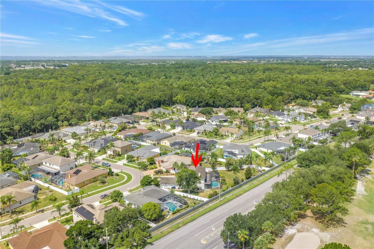 10127 Vista Pointe Drive , Tampa, FL 33635 Photo