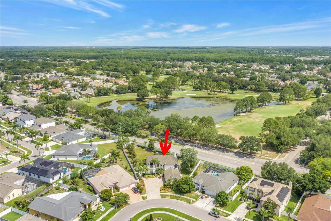10127 Vista Pointe Drive , Tampa, FL 33635 Photo