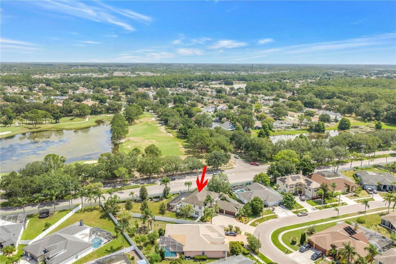 10127 Vista Pointe Drive , Tampa, FL 33635 Photo