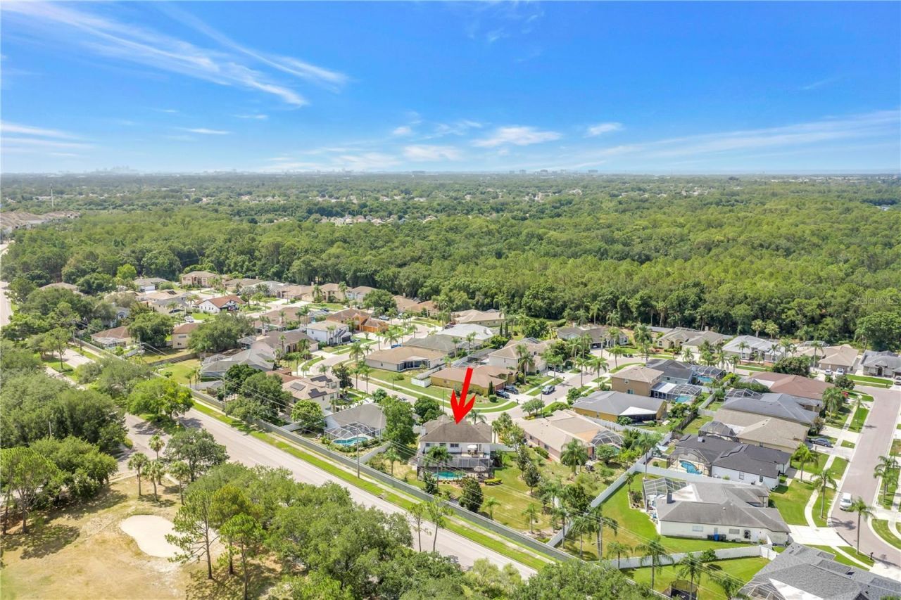 10127 Vista Pointe Drive , Tampa, FL 33635 Photo