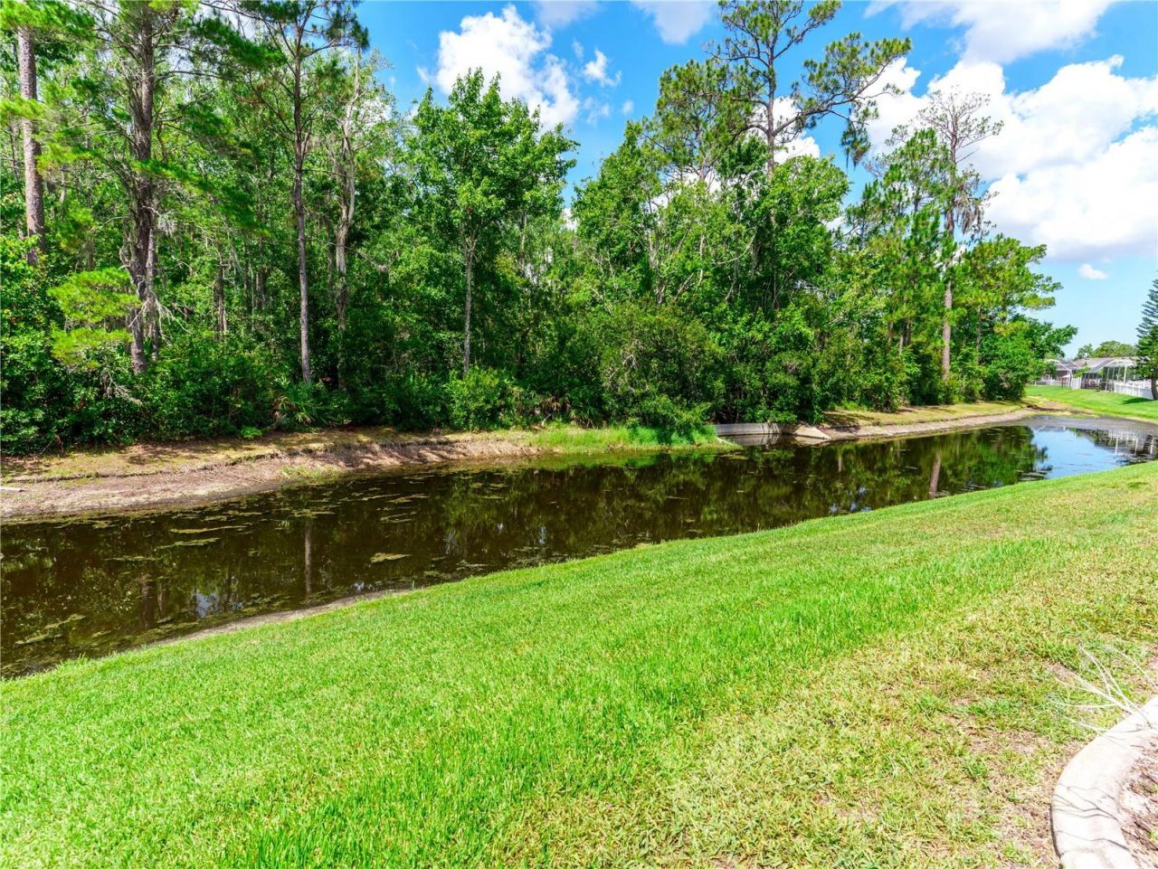 12202 Roseland Drive, New Port Richey, FL 34654 Photo