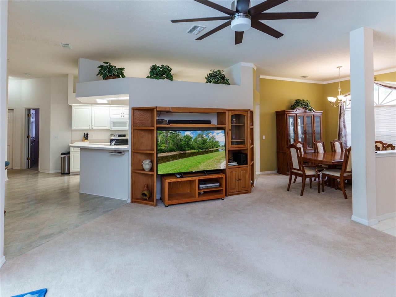 12202 Roseland Drive, New Port Richey, FL 34654 Photo