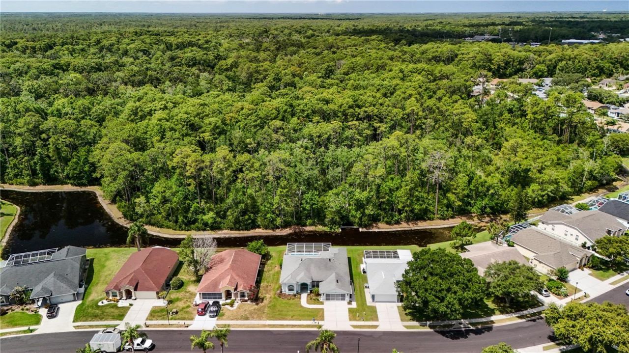12202 Roseland Drive, New Port Richey, FL 34654 Photo