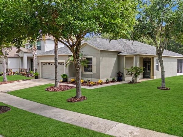 10634 LUCAYA DRIVE , TAMPA, FL 33647