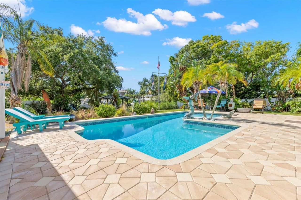 121 Carlyle Drive, Palm Harbor, FL 34683 Photo