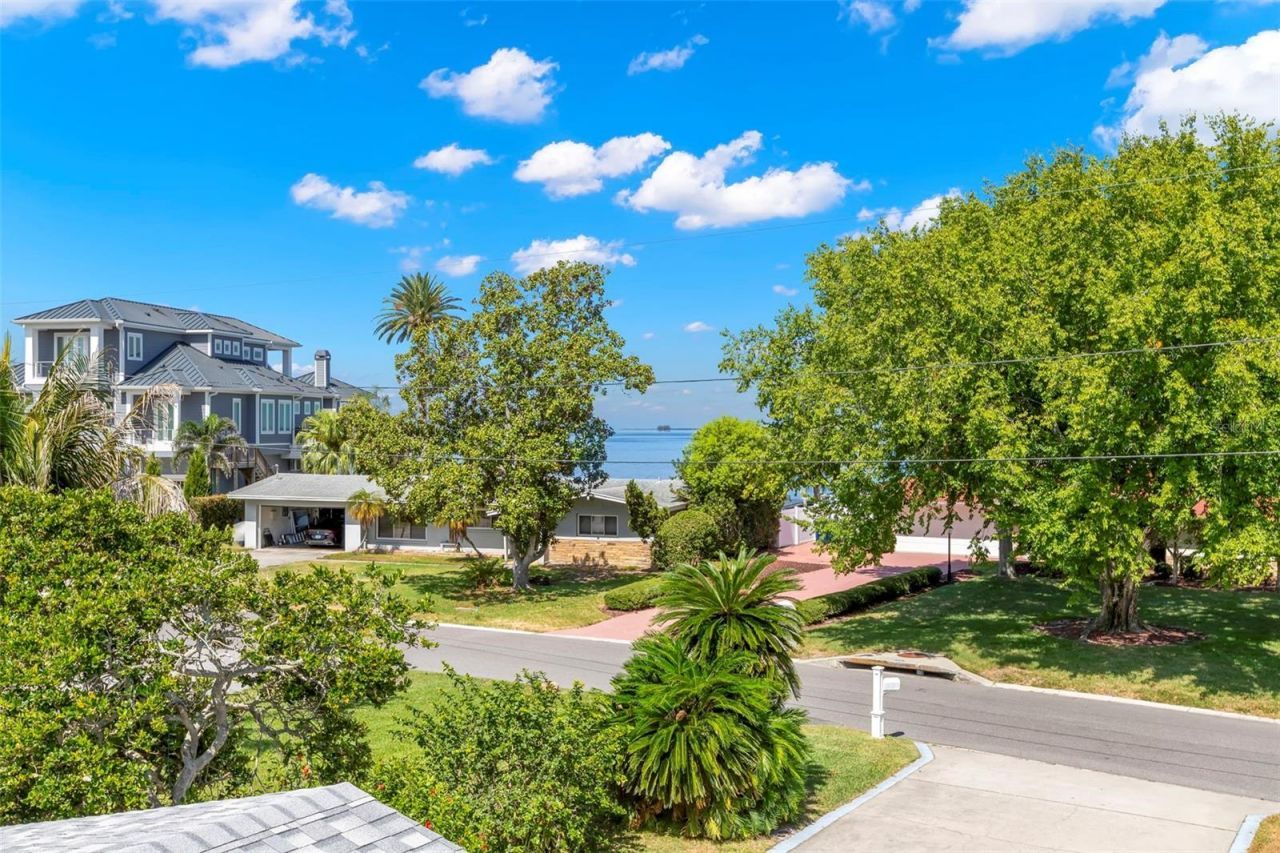 121 Carlyle Drive, Palm Harbor, FL 34683 Photo