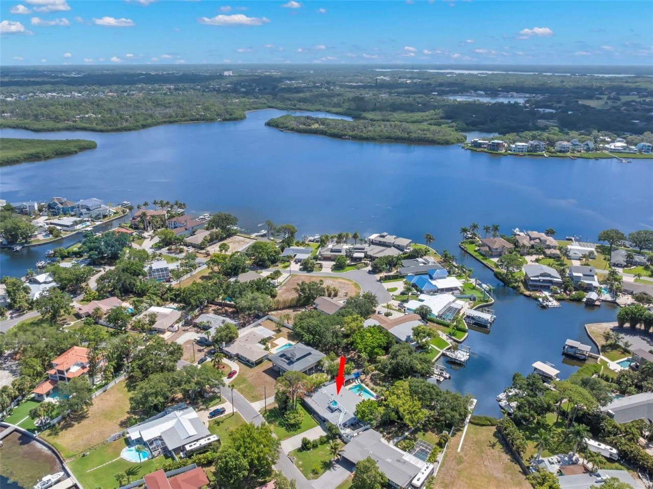 121 Carlyle Drive, Palm Harbor, FL 34683 Photo
