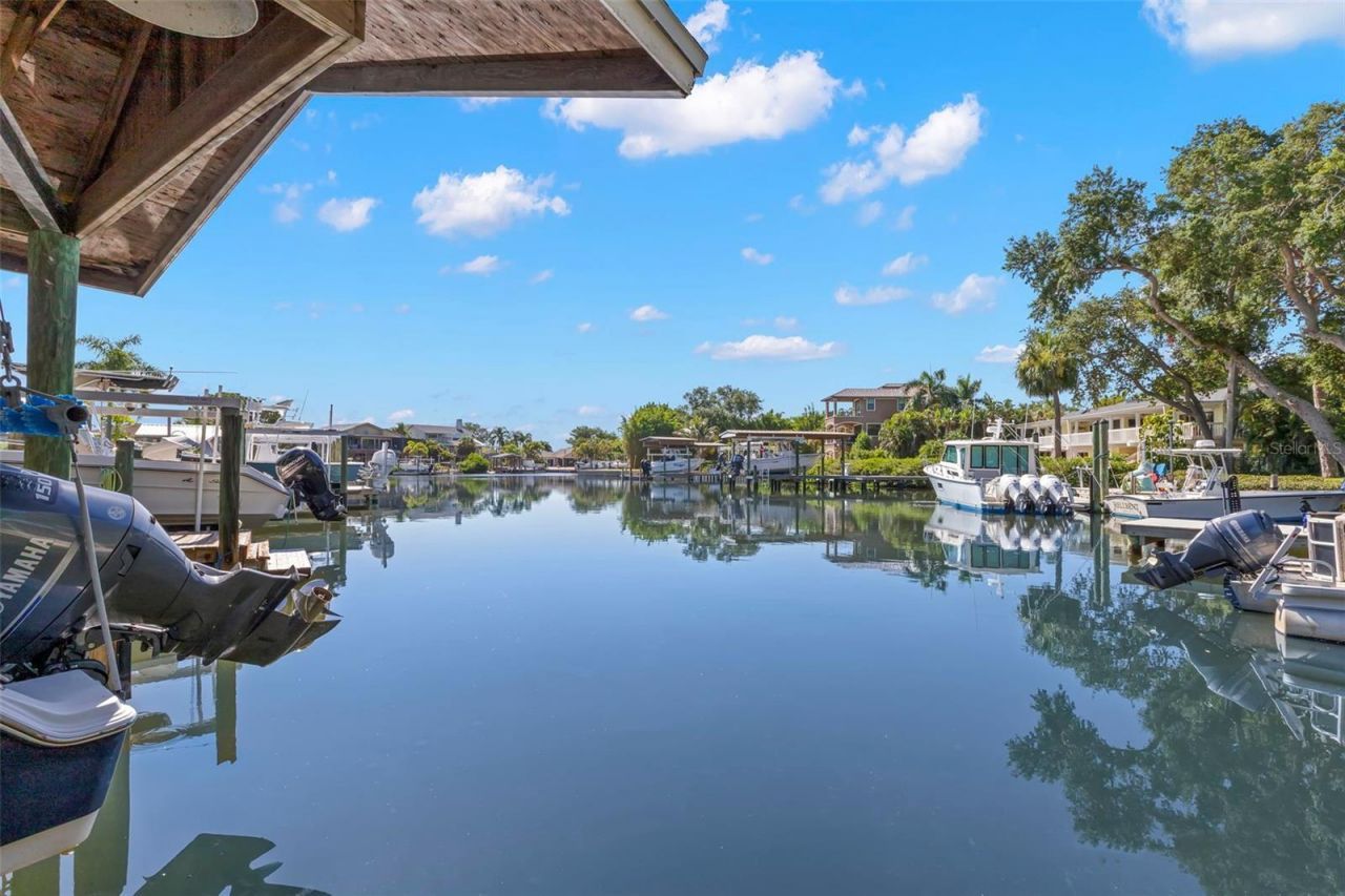 121 Carlyle Drive, Palm Harbor, FL 34683 Photo