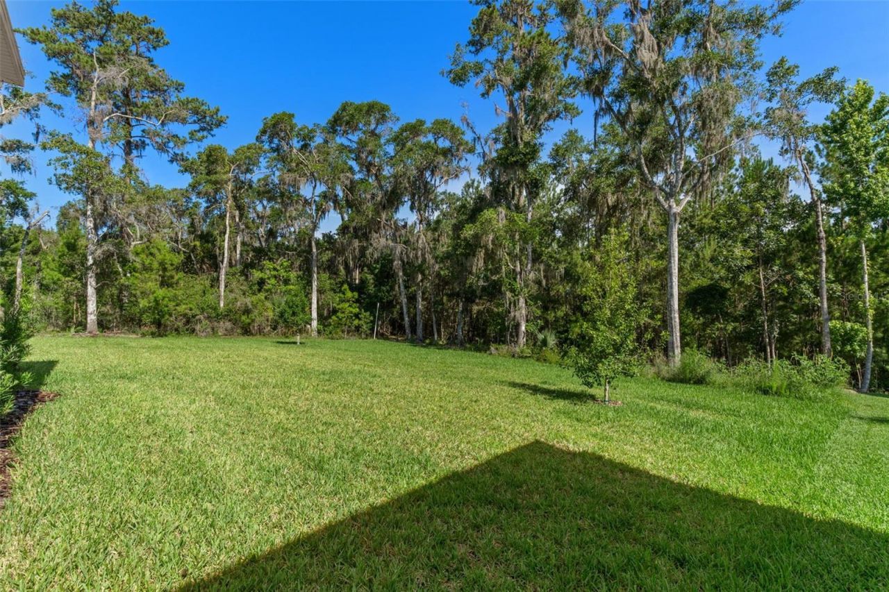 6671 Summit View Drive , Brooksville, FL 34601 Photo