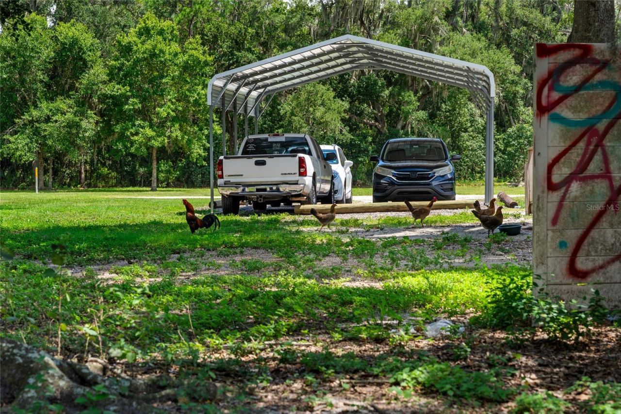 5709 Luckasavage Road, Plant City, FL 33567 Photo
