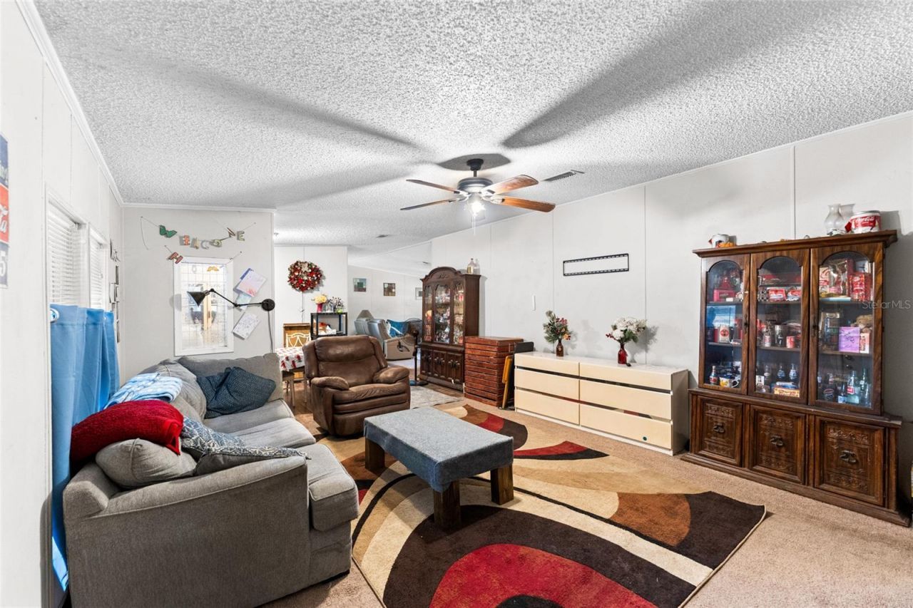5709 Luckasavage Road, Plant City, FL 33567 Photo